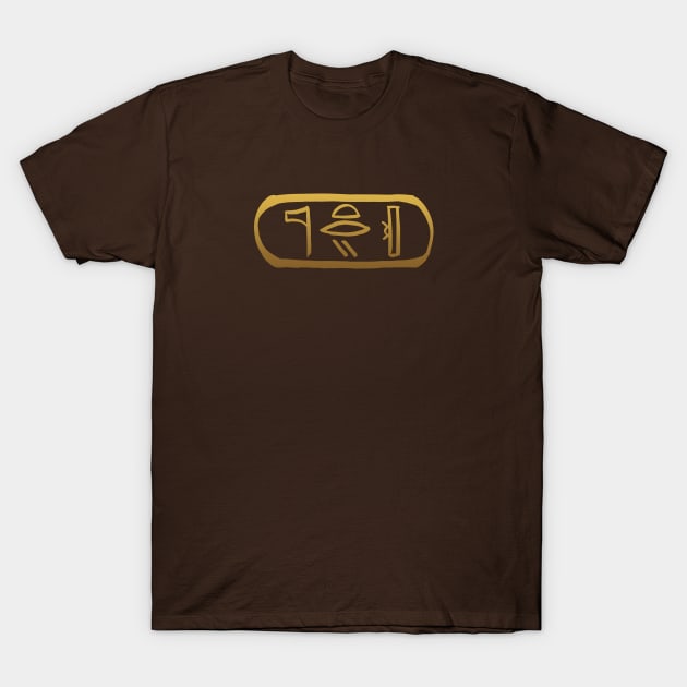 Be Divine in Ancient Egyptian Hieroglyphics T-Shirt by hybridgothica